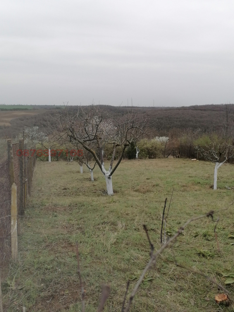 Продава ПАРЦЕЛ, с. Николово, област Русе, снимка 10 - Парцели - 52782142