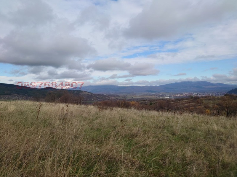 Продава ЗЕМЕДЕЛСКА ЗЕМЯ, с. Жиленци, област Кюстендил, снимка 3 - Земеделска земя - 52953010