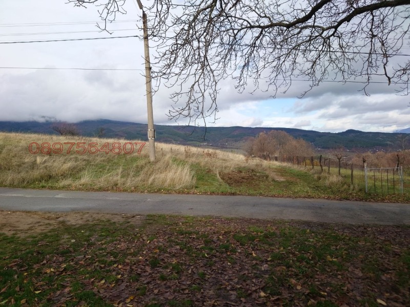 Продава ЗЕМЕДЕЛСКА ЗЕМЯ, с. Жиленци, област Кюстендил, снимка 4 - Земеделска земя - 52953010