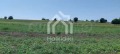 Продава ПАРЦЕЛ, Извън страната, област Извън страната, снимка 10