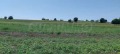 Продава ПАРЦЕЛ, Извън страната, област Извън страната, снимка 4
