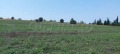 Продава ПАРЦЕЛ, Извън страната, област Извън страната, снимка 3
