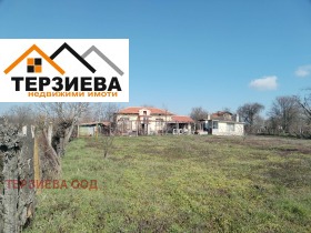 ������ ������� ����