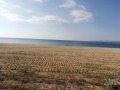 Продава ПАРЦЕЛ, Извън страната, област Извън страната, снимка 2