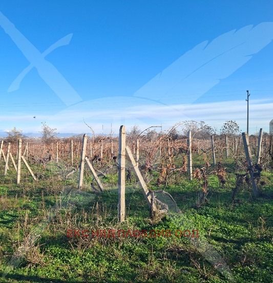 ������� ������ | Imot.bg � ����������� 1