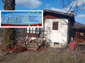 ������ ������� ����