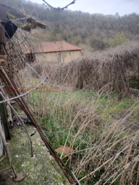 ������� ���� | Imot.bg � ����� ������ 5