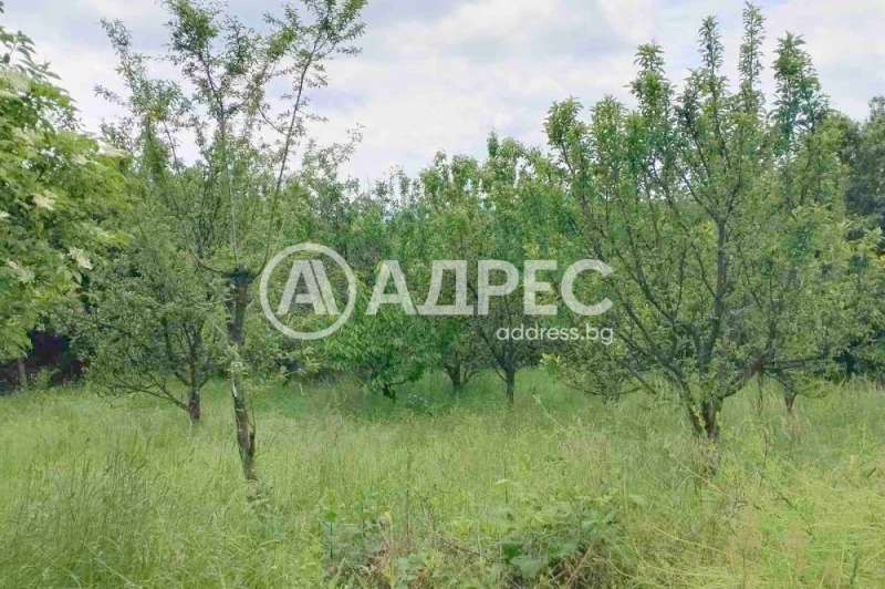 Продава КЪЩА, с. Ръжана, област София област, снимка 9 - Къщи - 47218473