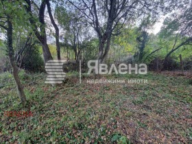 Продава  Парцел, с. Бучин проход