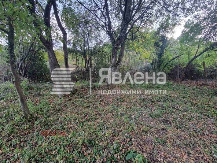 Продава ПАРЦЕЛ, с. Бучин проход, област София област