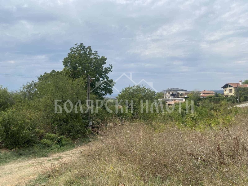 Продава ПАРЦЕЛ, с. Малки чифлик, област Велико Търново, снимка 5 - Парцели - 40194159