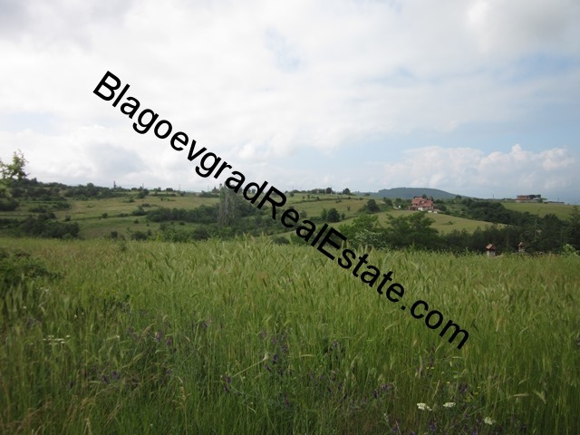 Продава  Земеделска земя област Благоевград , с. Дъбрава , 0.658 дка | 59194092 - изображение [3]