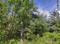 Продава ПАРЦЕЛ, гр. София, м-т Щъркелово гнездо, снимка 2