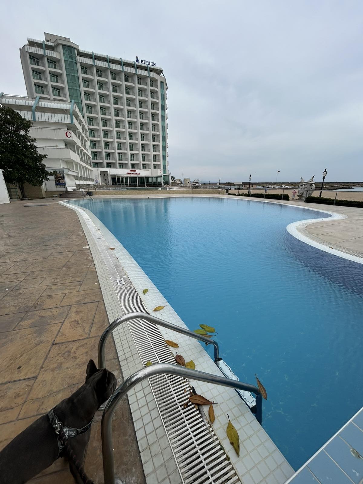 ���� ��� ���� 1-����� | Imot.bg � ����������� 3