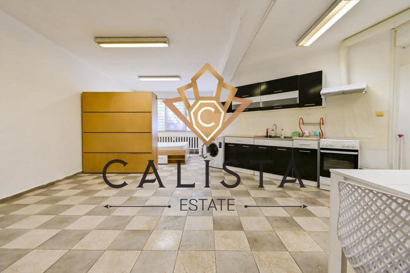 Te huur  Studio Sofia , Tsentar , 50 m² | 90459479 - afbeelding [10]