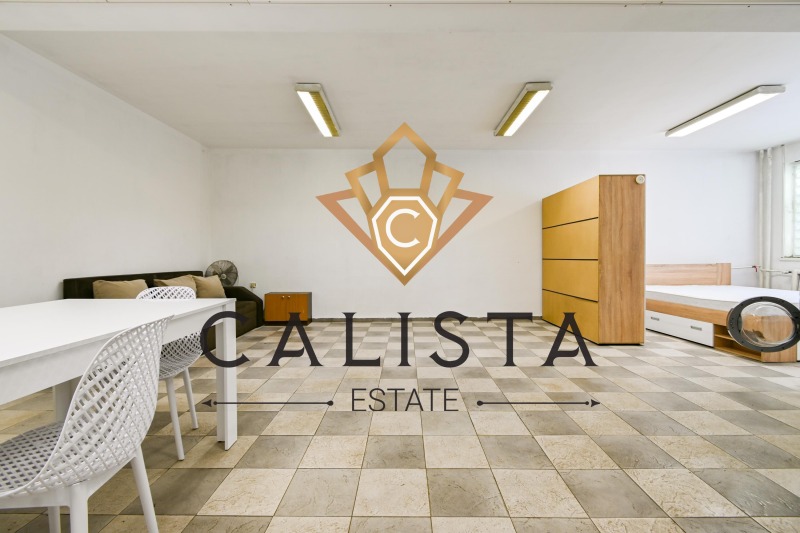 For Rent  Studio Sofia , Tsentar , 50 sq.m | 90459479 - image [5]