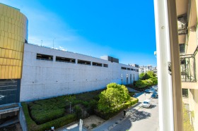 ������ ���� ��� ���� 3-�����