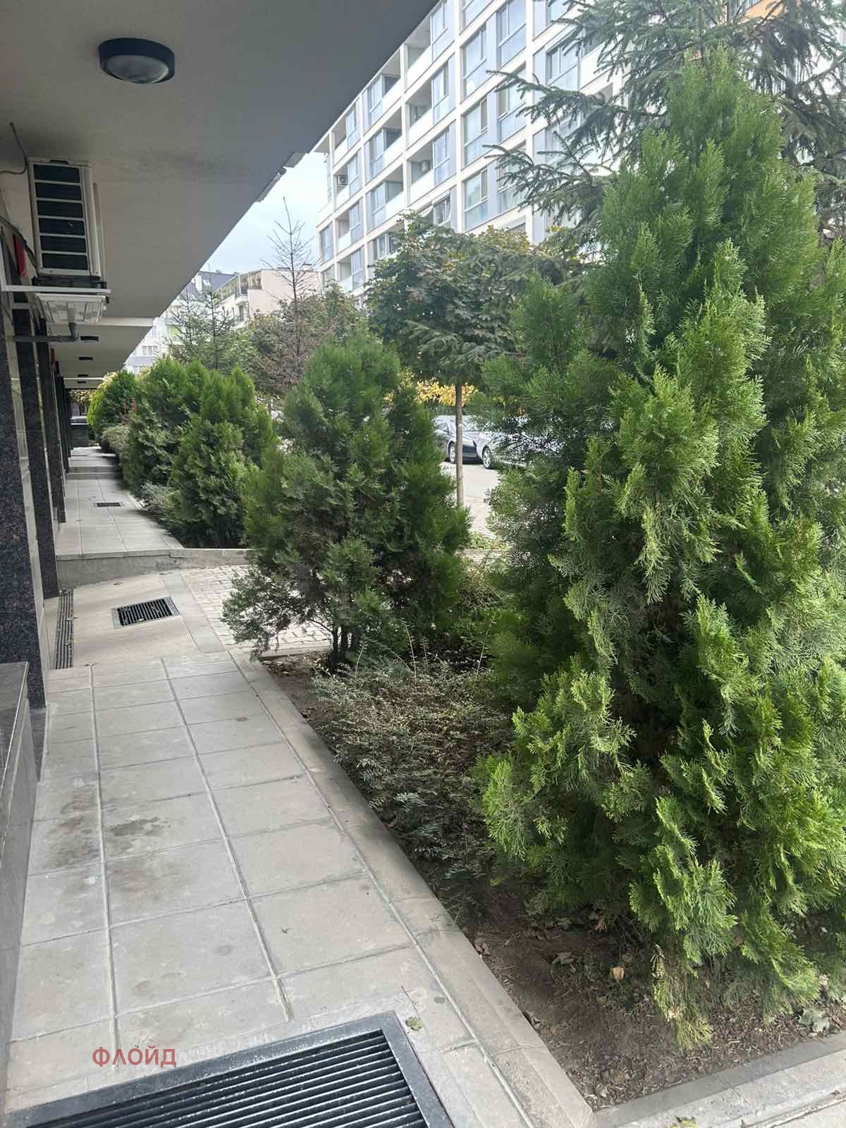 ���� ��� ���� 2-����� | Imot.bg � ����������� 17