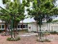 Дава под наем БИЗНЕС ИМОТ, гр. Червен бряг, област Плевен, снимка 2