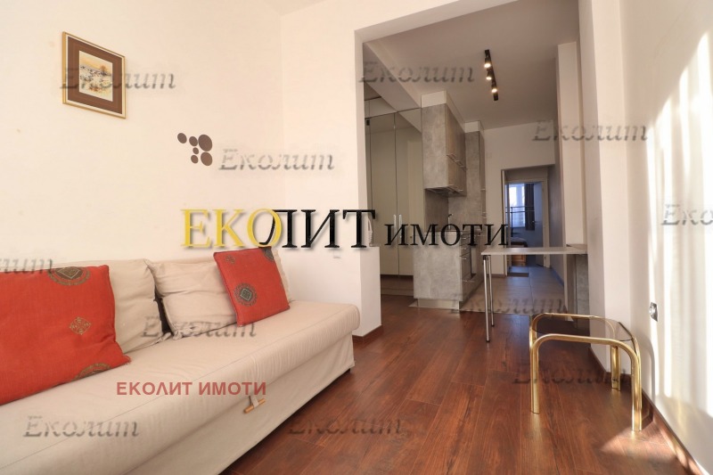 Издаје се  1 спаваћа соба Софија , Центар , 65 м2 | 62842163 - слика [4]