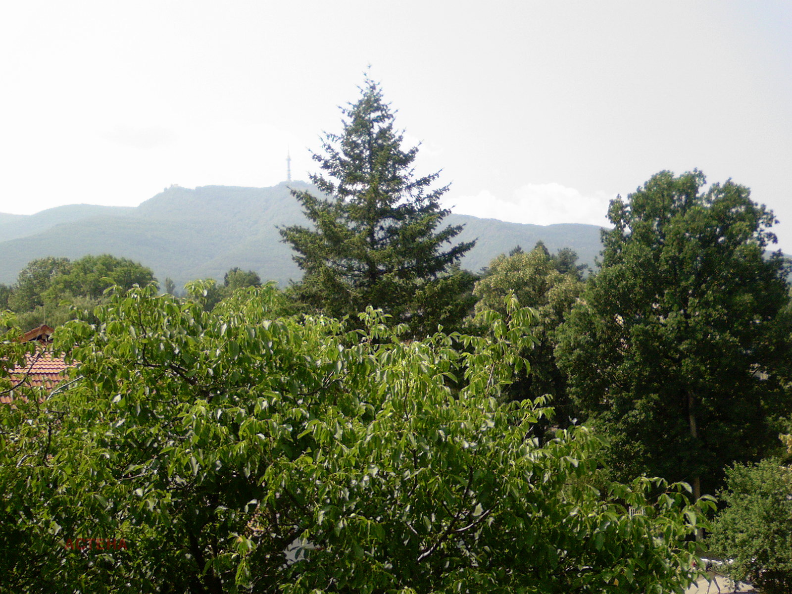 ���� ��� ���� 3-����� | Imot.bg � ����������� 17