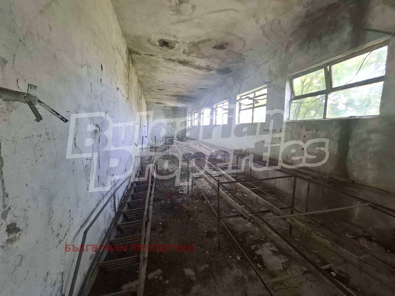 В аренду  Промышленное здание область Ямбол , Елхово , 853 кв.м | 22787175 - изображение [14]