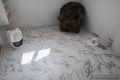 Под наем ЕТАЖ ОТ КЪЩА, град София, Горна баня • 550 € • 56720798 6