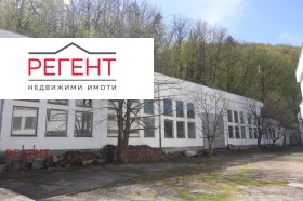 ����� ���� ��� ���� ����. ���������,���� �������, ������