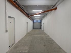 ����� ���� ��� ���� �����,���� ������, �������