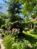 Дава под наем  Къща град София , Драгалевци , 325 кв.м | 92175094 - изображение [4]