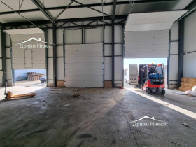 ����� ���� ��� ���� �����,���� �������, ������������ ���� - �����