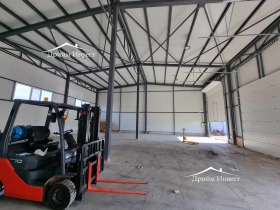 ����� ���� ��� ���� �����,���� �������, ������������ ���� - �����