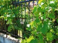 Под наем 1-СТАЕН, град София, Овча купел 2 • 750 лв. / 383.47 € • 35691016 8