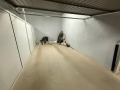 Дава под наем  2-стаен град София , Кръстова вада , 65 кв.м | 91742966 - изображение [10]