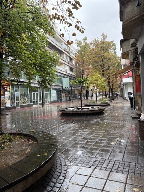 Til leie  2 soverom Plovdiv , Tsentar , 95 kvm | 68119957 - bilde [17]