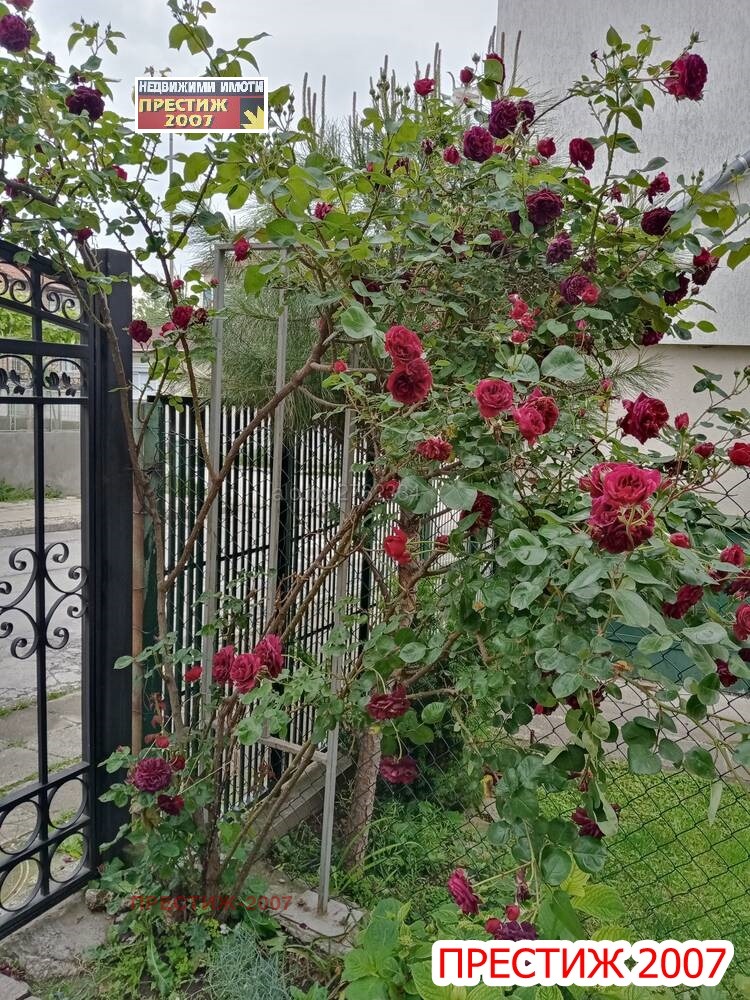 ���� ��� ���� ���� �� ���� | Imot.bg � ����������� 10