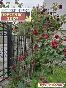 ���� ��� ���� ���� �� ���� | Imot.bg � ����� ������ 10