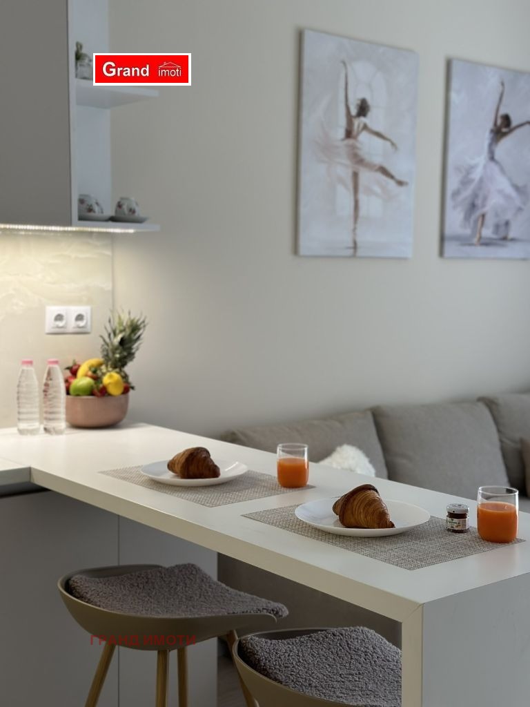 Da affittare  1 camera da letto Sofia , PZ Hladilnika , 65 mq | 42949840 - Immagine [12]