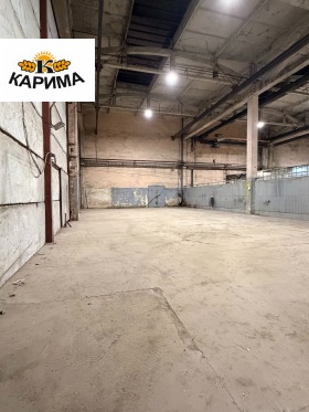 ����� ���� ��� ���� �����,���� �����, ������� ���������� ����