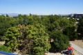 Под наем 3-СТАЕН, град София, Гео Милев • 1450 € • 79429688 — Holmes.bg