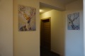 Под наем 3-СТАЕН, град София, Гео Милев • 1450 € • 79429688 — Holmes.bg