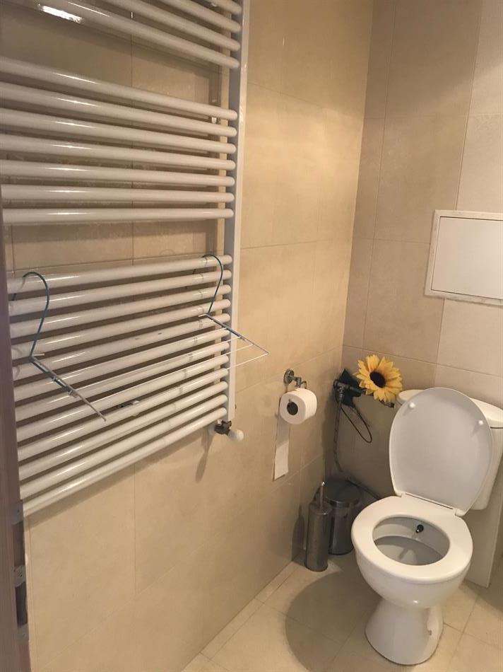 Vuokrattavana  Studio Sofia , Pavlovo , 40 neliömetriä | 42245008 - kuva [9]