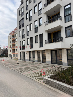 ����� ���� ��� ���� ����������,���� �����, �������� ����