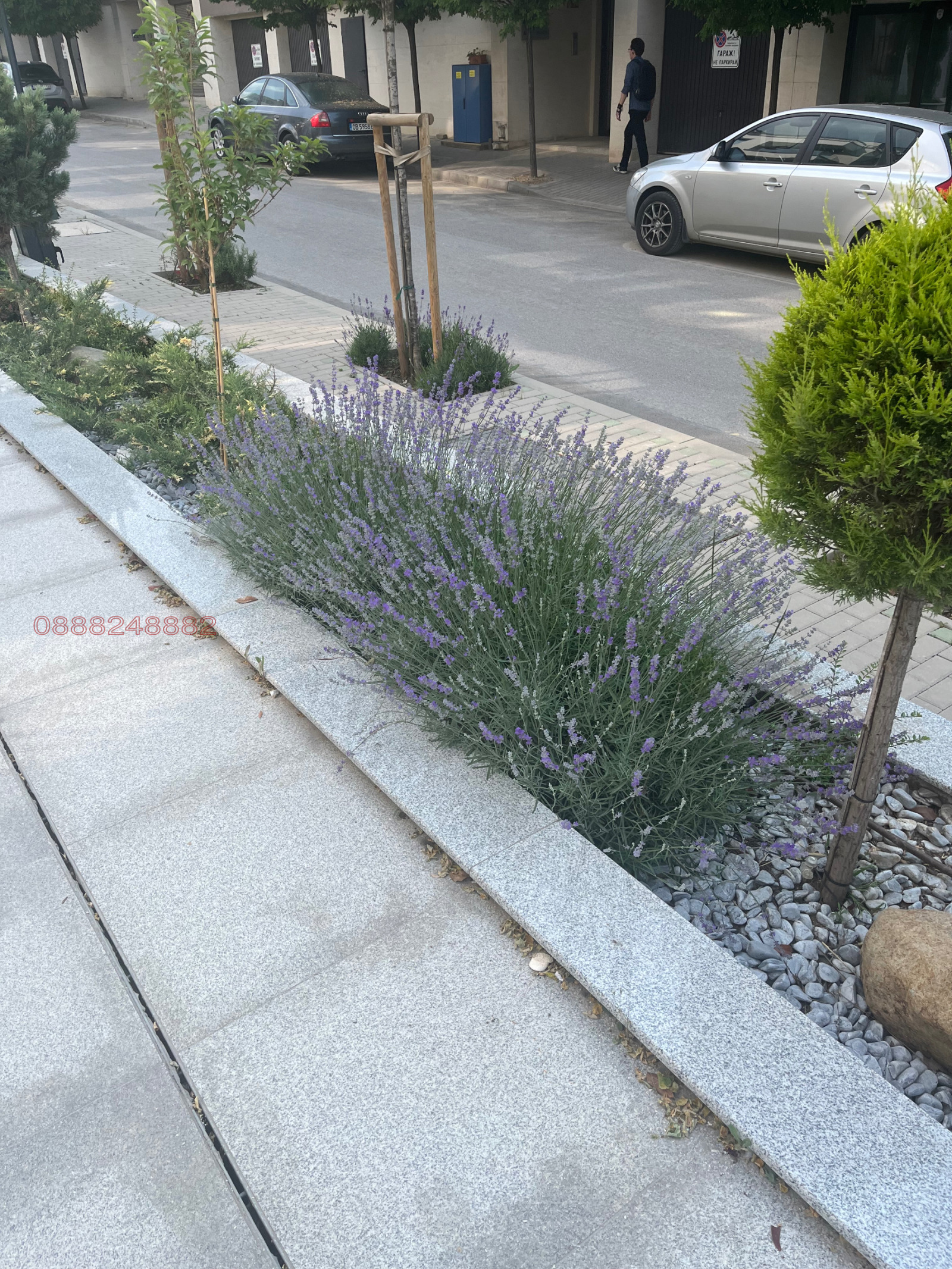 ���� ��� ���� 3-����� | Imot.bg � ����������� 11