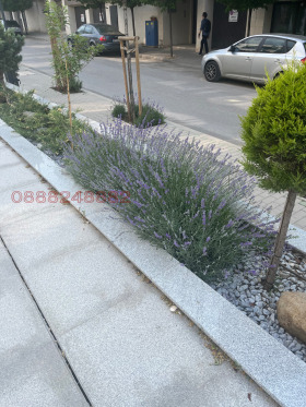 ���� ��� ���� 3-����� | Imot.bg � ����� ������ 11