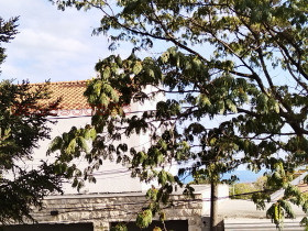 ���� ��� ���� 2-����� | Imot.bg � ����� ������ 14