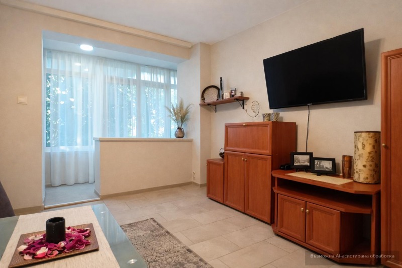 Дава под наем 2-СТАЕН, гр. Пловдив, Център, снимка 3 - Апартаменти - 53492067