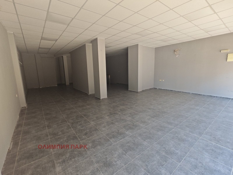 För uthyrning  affär Plovdiv , Trakija , 249 kvm | 61644490 - bild [6]