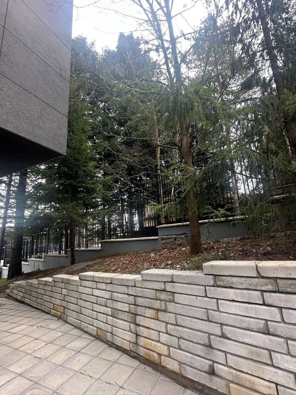 Дава под наем КЪЩА, гр. София, Бояна, снимка 6 - Къщи - 54068055