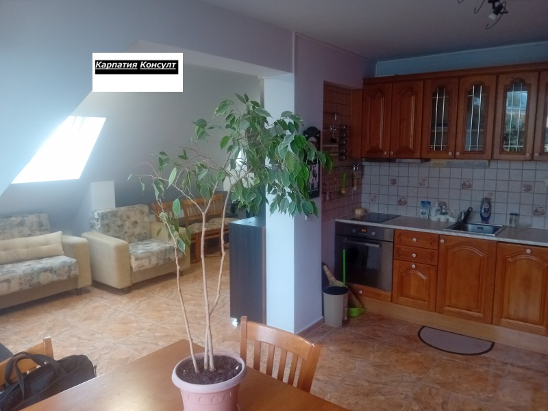 En renta  Estudio Sofia , Tsentar , 60 metros cuadrados | 22067946 - imagen [15]